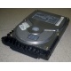 Жесткий диск 18.4Gb Quantum Atlas 10K III U160 SCSI (Клин)