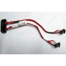 SATA-кабель для корзины HDD HP 451782-001 459190-001 для HP ML310 G5 (Клин)