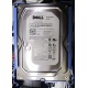 Б/У жёсткий диск Dell SATA (WD WD1601ABYS 7200 rpm) 3.5" HDD (Клин)