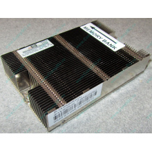 Радиатор HP 592550-001 603888-001 для DL165 G7 (Клин)