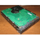 Жесткий диск 300Gb 15k Seagate Cheetach ST3300656SS 15K.6 Dell 9CH066-050 6G SAS (Клин)
