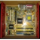 Материнская плата Asus P5L-VM 1394 s.775 (Клин)